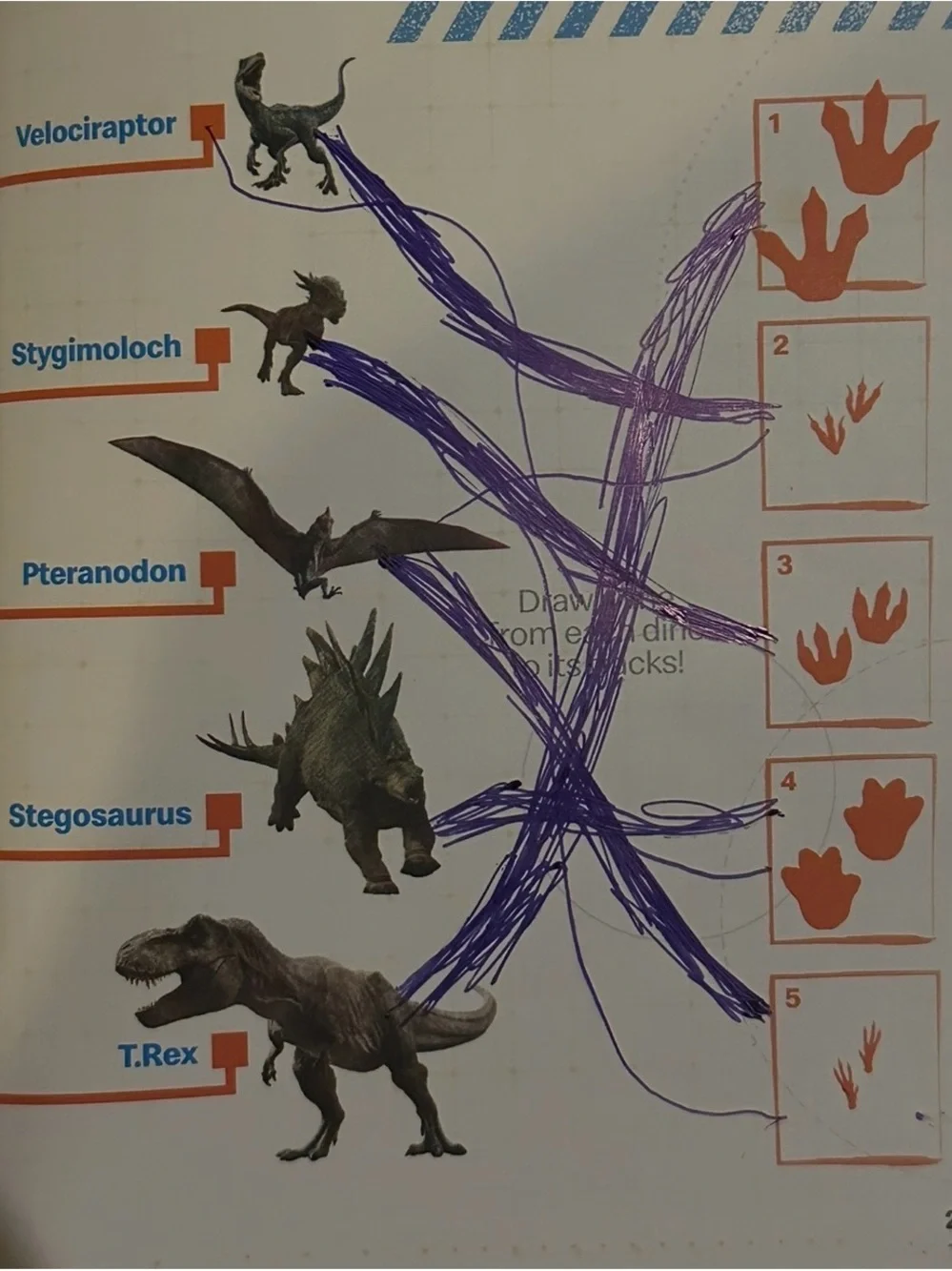 Bunch of Dinosaurs